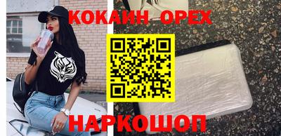 молекула духа Кандалакша