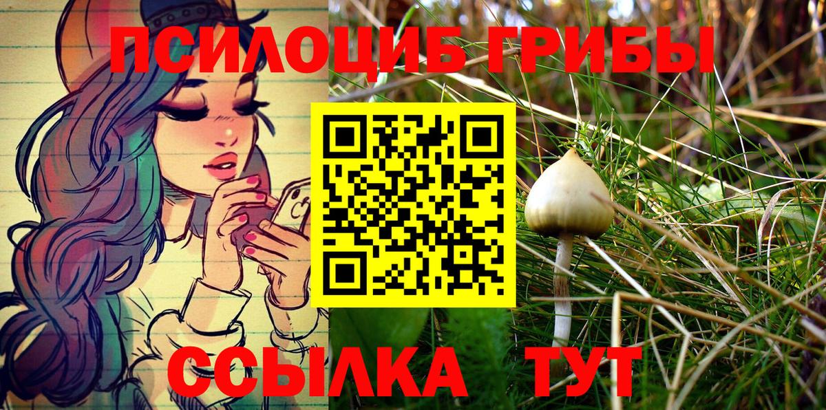 Псилоцибиновые грибы MAGIC MUSHROOMS  Вход с VPN  Обнинск 